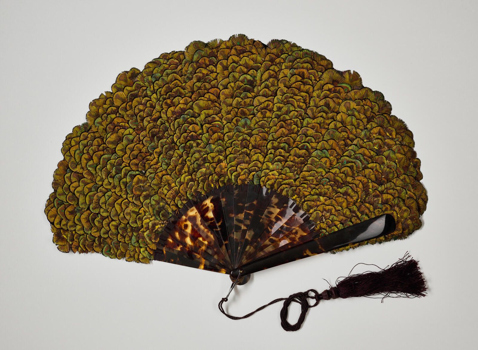 "Plumes de paon"_0