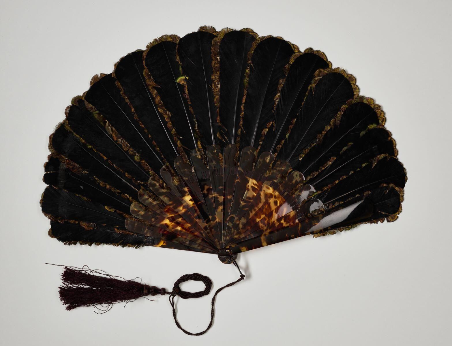 "Plumes de paon"_1