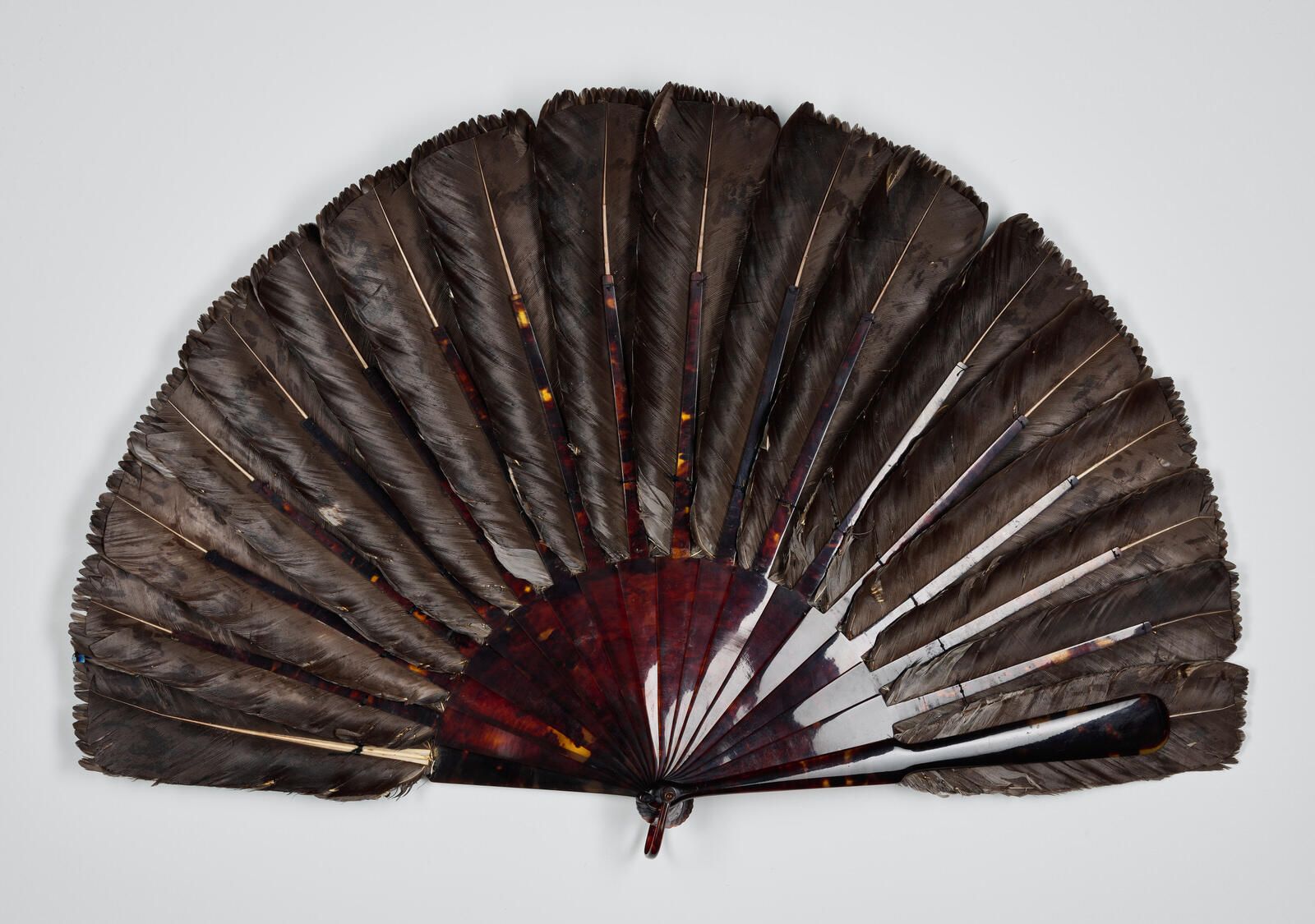 "Plumes de geai"_1