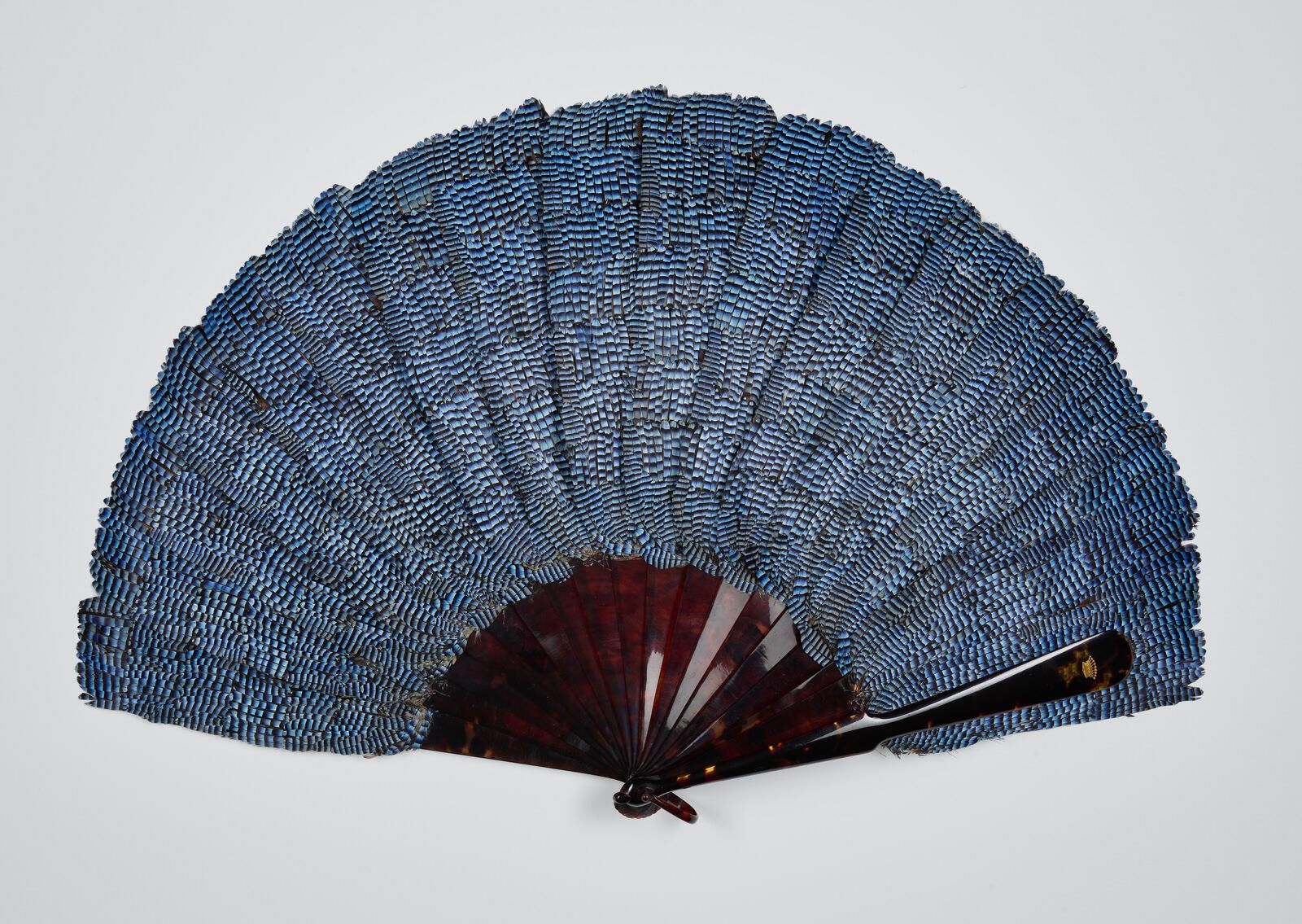 "Plumes de geai"_0