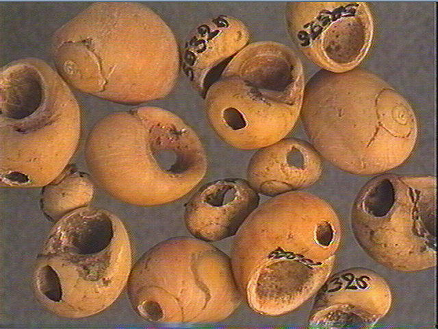 Pendeloque_0