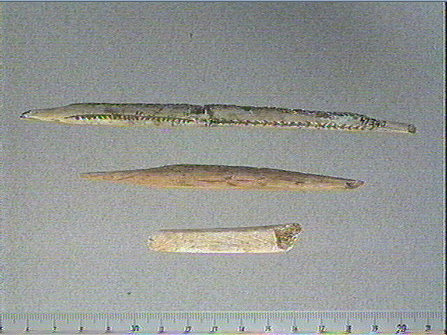 Sagaie (à biseau double)_0