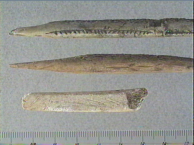 Sagaie (à biseau double)_1