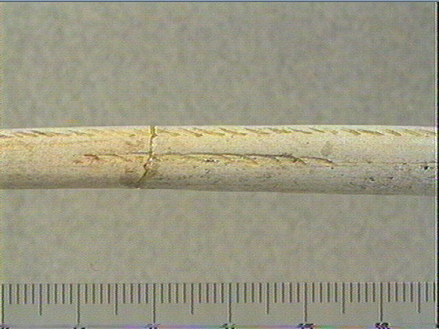 Sagaie_2