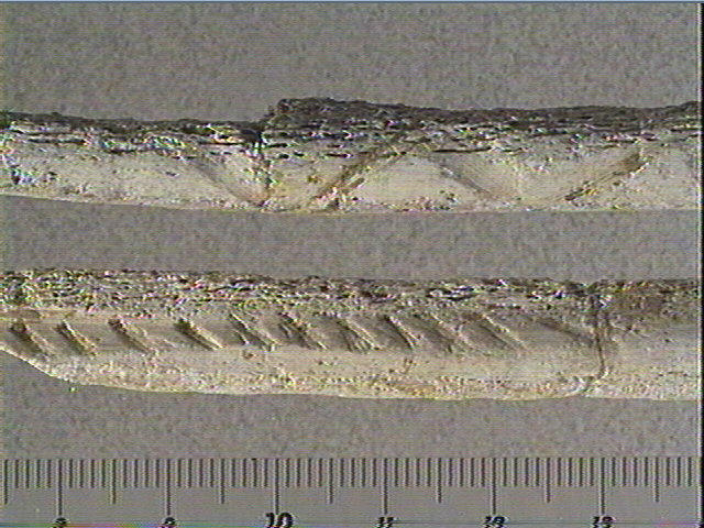 Sagaie, ciseau_2