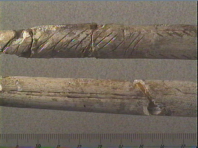 Pointe_2