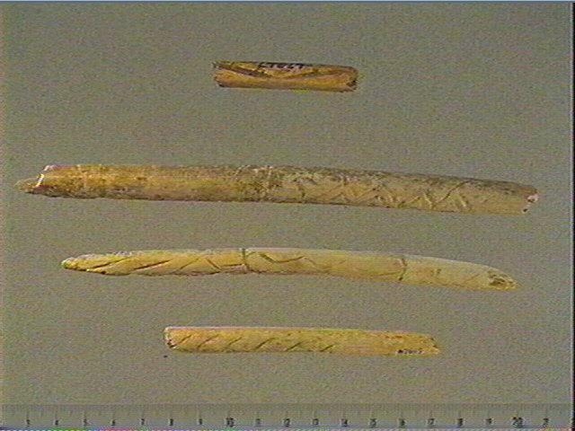 Baguette_0