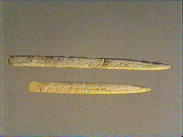 Sagaie_1