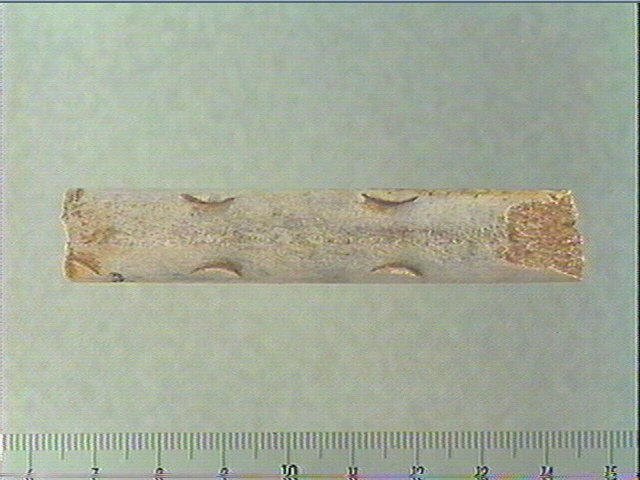 Baguette demi-ronde_0