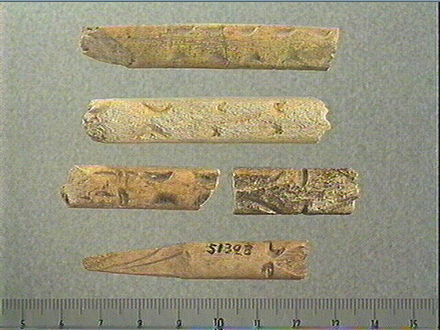 Baguette demi-ronde_0
