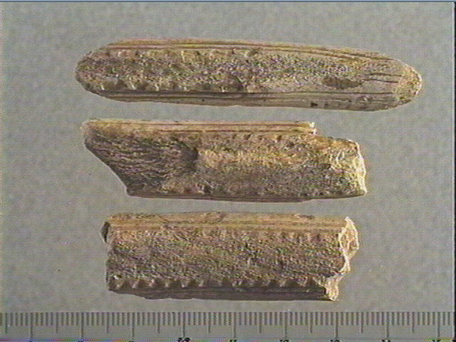 Baguette demi-ronde_0