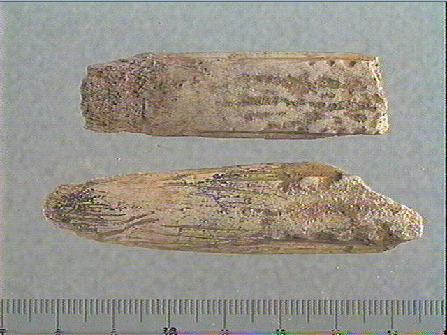 Baguette demi-ronde_0