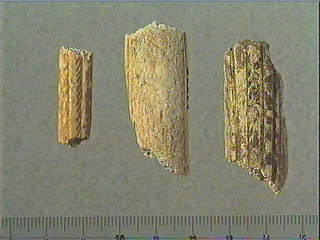 Baguette demi-ronde_0