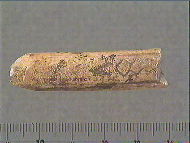 Baguette demi-ronde_0