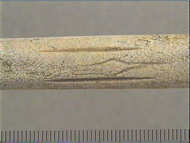 Baguette demi-ronde_1