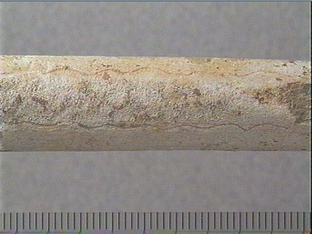 Baguette demi-ronde_1