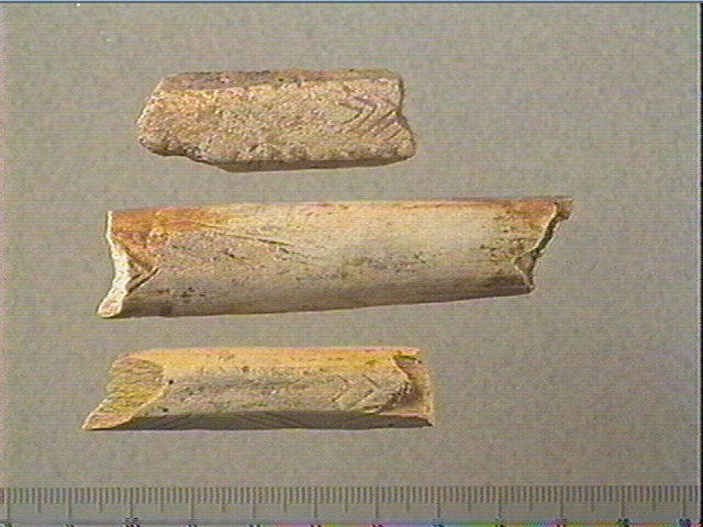 Baguette demi-ronde_0