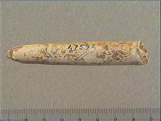 Baguette demi-ronde_0