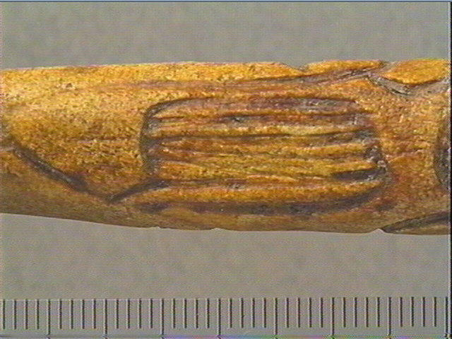 Baguette demi-ronde_1