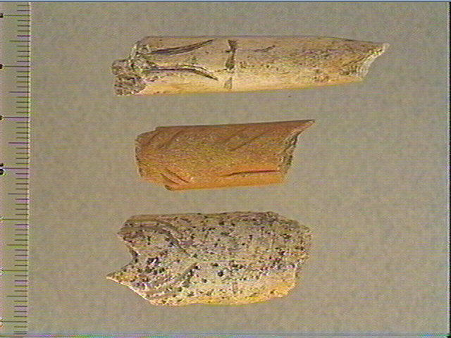 Baguette demi-ronde_0