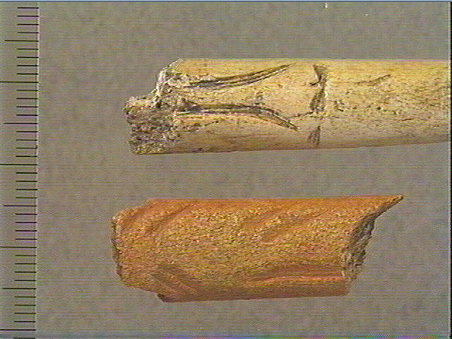Baguette demi-ronde_1