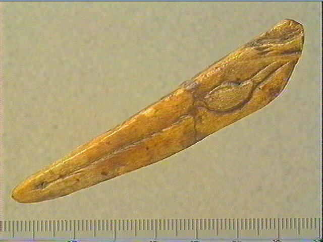 Baguette_0