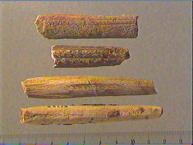 Baguette demi-ronde_0