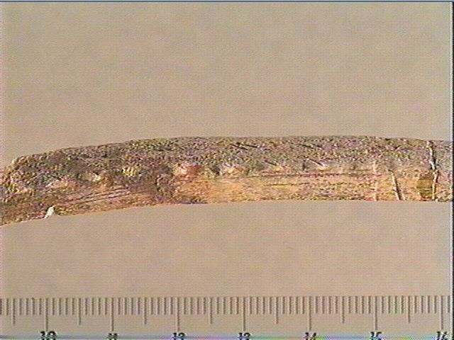 Baguette demi-ronde_1