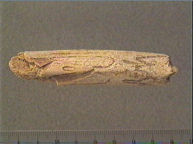 Bâton_0