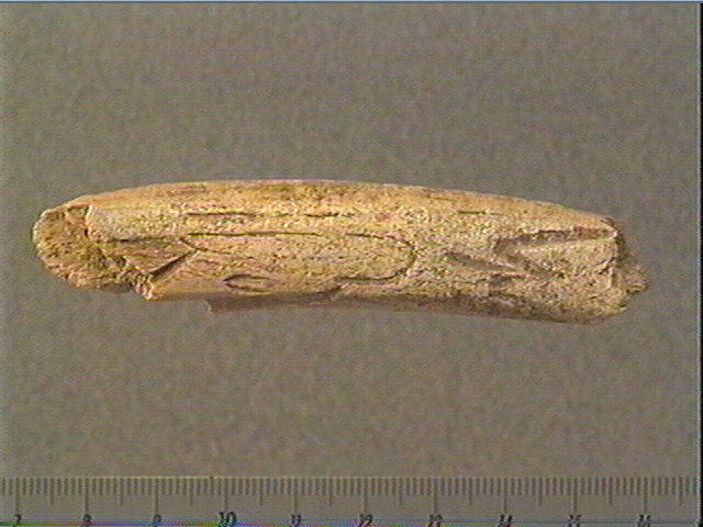 Bâton_1