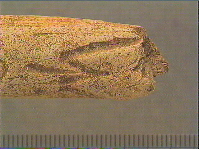 Bâton_3