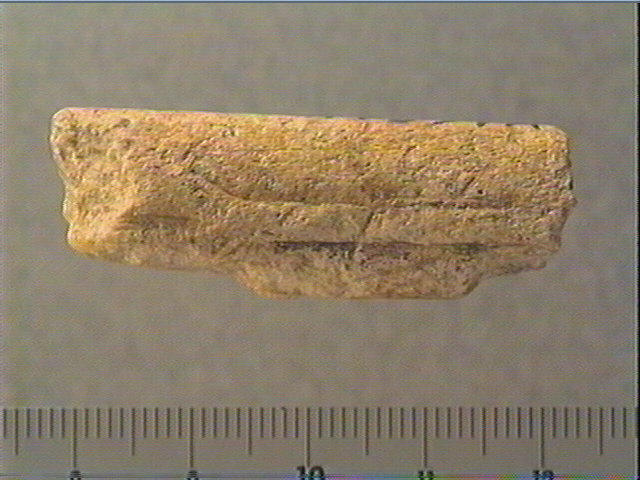 Baguette_0