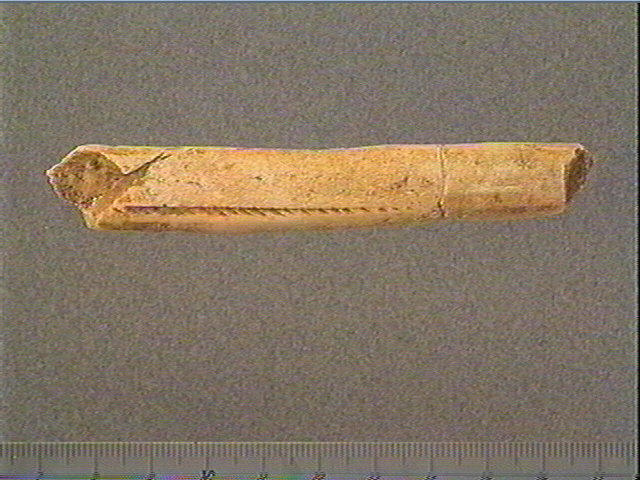 Andouiller (renne)_0