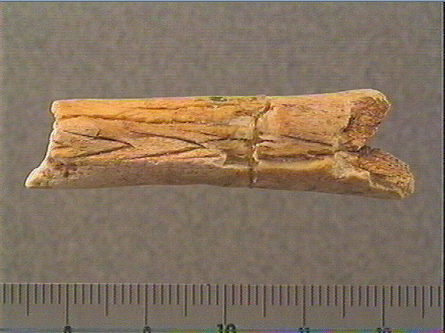 Baguette_0