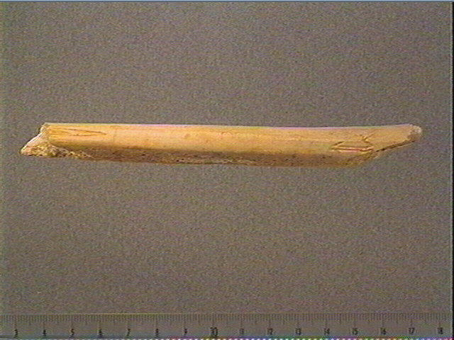 Baguette_1
