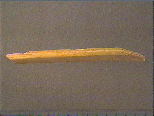 Baguette_3