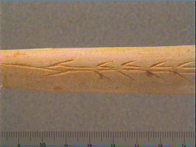 Baguette_2