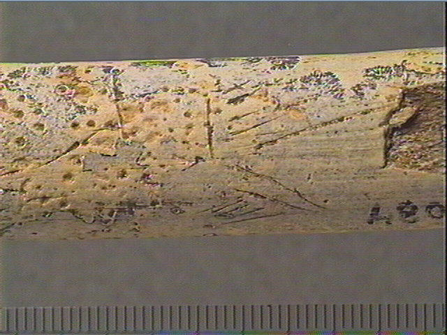 Baguette_1