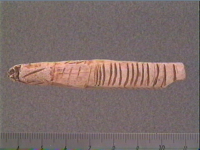 Objet indéterminé_0