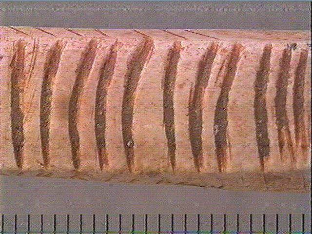 Objet indéterminé_3