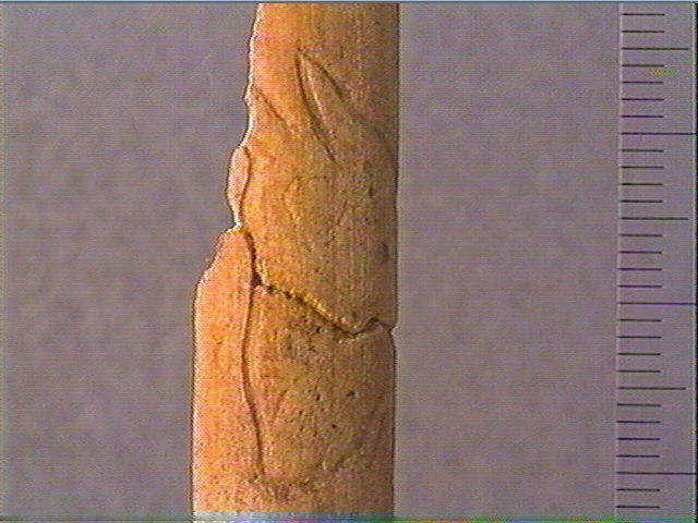 Baguette_2