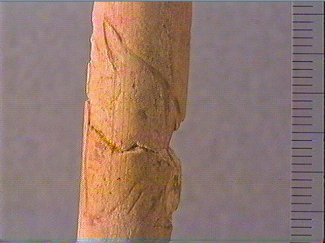 Baguette_3