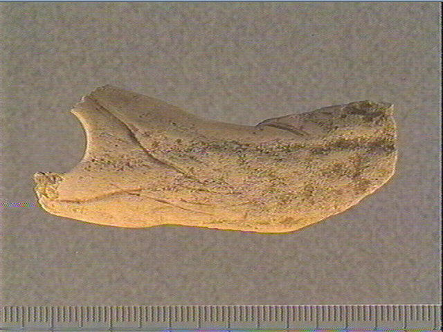 Bâton percé_1