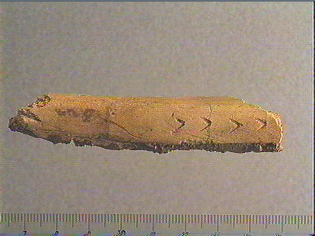Baguette_1