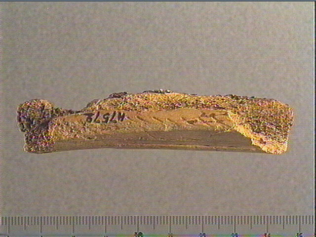 Baguette_2