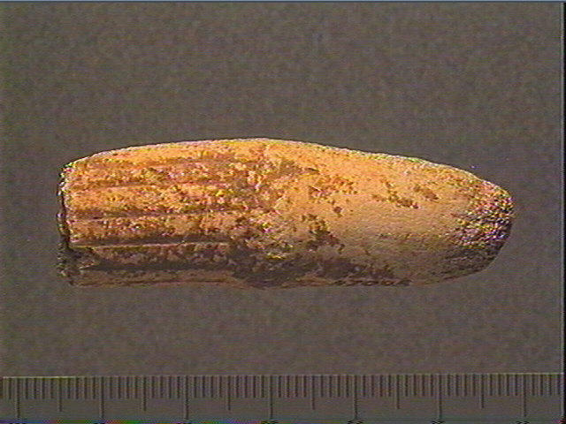 Baguette, bouchon, outre (élément)_4