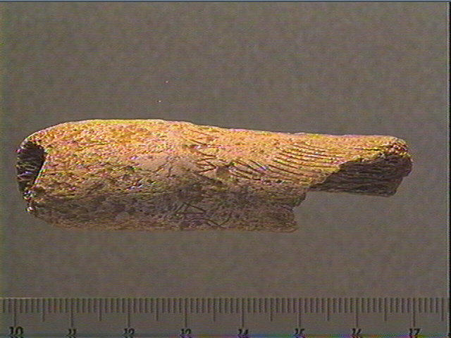 Bâton_0