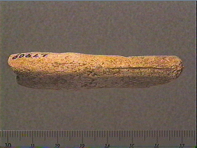 Bâton_1