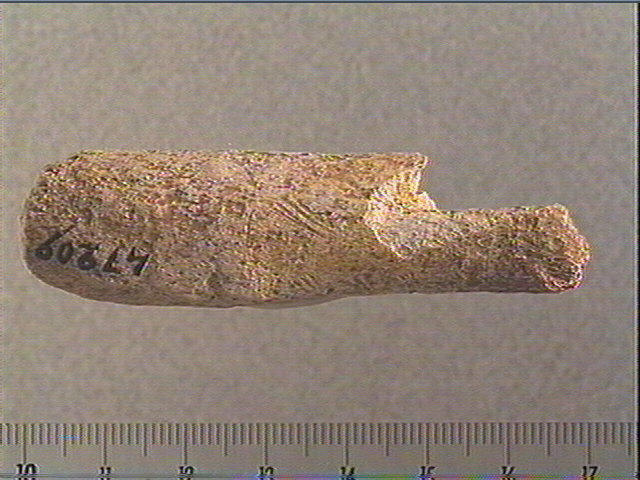 Bâton_2