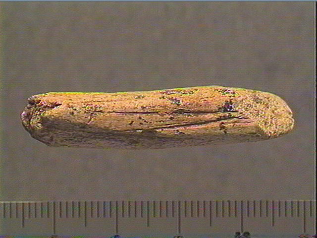 Baguette_1